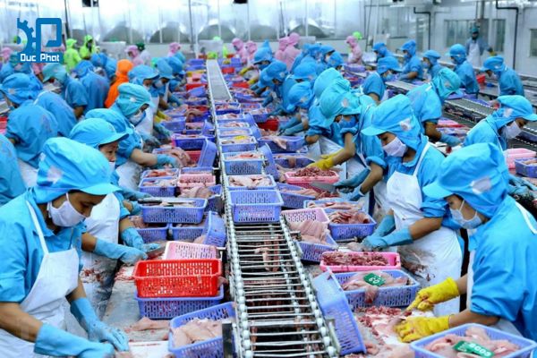 Chuẩn bị nguyên liệu và sơ chế cá