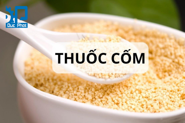 Quy trình đóng gói thuốc cốm